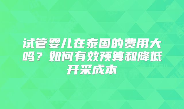 试管婴儿在泰国的费用大吗？如何有效预算和降低开采成本