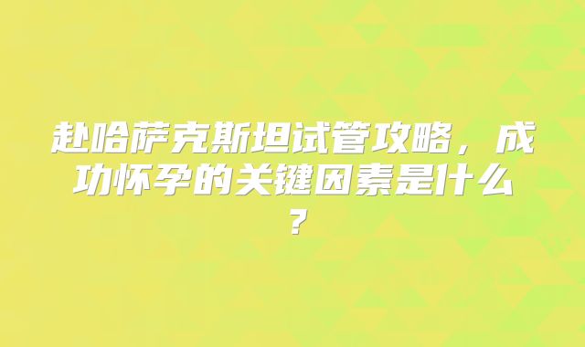 赴哈萨克斯坦试管攻略，成功怀孕的关键因素是什么？