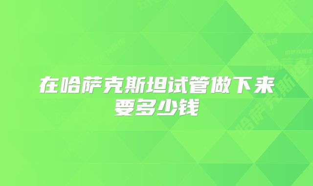 在哈萨克斯坦试管做下来要多少钱