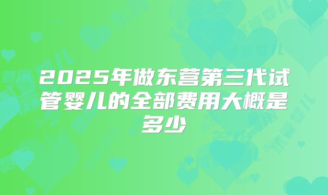 2025年做东营第三代试管婴儿的全部费用大概是多少