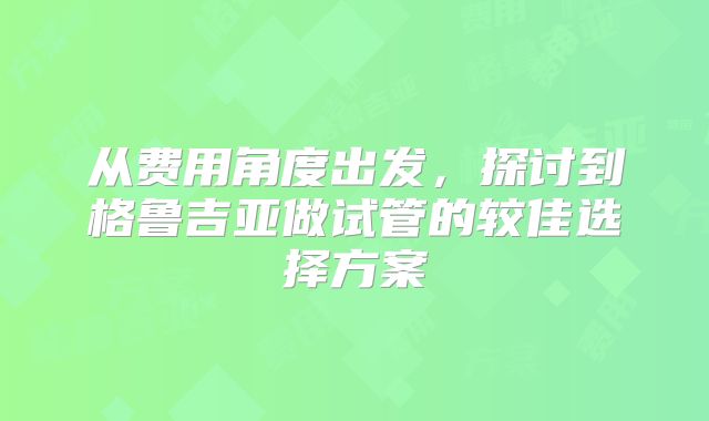 从费用角度出发，探讨到格鲁吉亚做试管的较佳选择方案