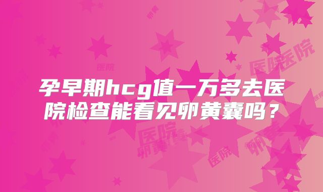 孕早期hcg值一万多去医院检查能看见卵黄囊吗？