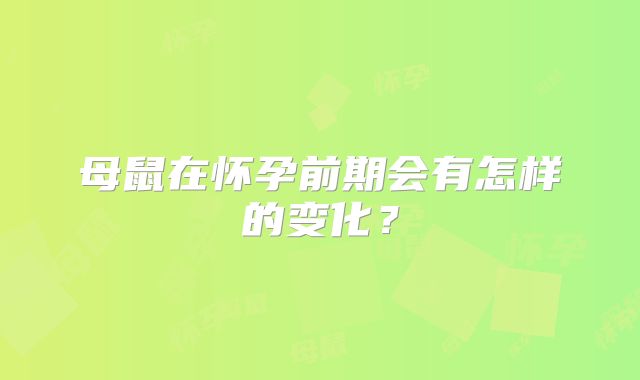 母鼠在怀孕前期会有怎样的变化？