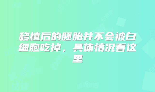 移植后的胚胎并不会被白细胞吃掉,具体情况看这里