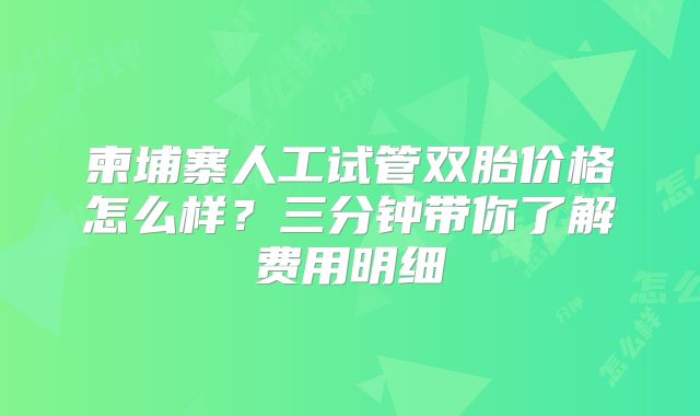 柬埔寨人工试管双胎价格怎么样？三分钟带你了解费用明细