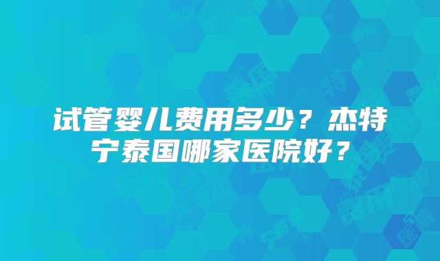 试管婴儿费用多少？杰特宁泰国哪家医院好？