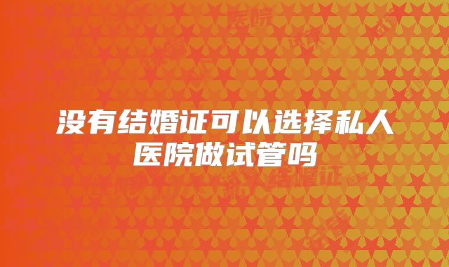 没有结婚证可以选择私人医院做试管吗