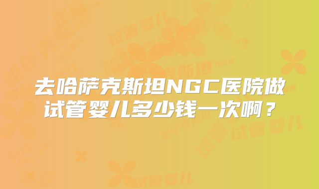 去哈萨克斯坦NGC医院做试管婴儿多少钱一次啊?