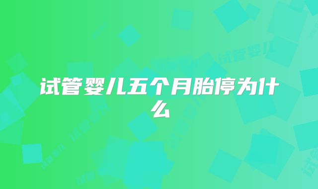 试管婴儿五个月胎停为什么