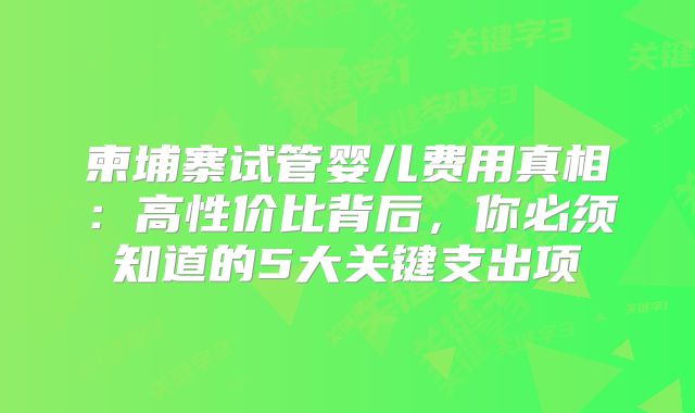 柬埔寨试管婴儿费用真相：高性价比背后，你必须知道的5大关键支出项