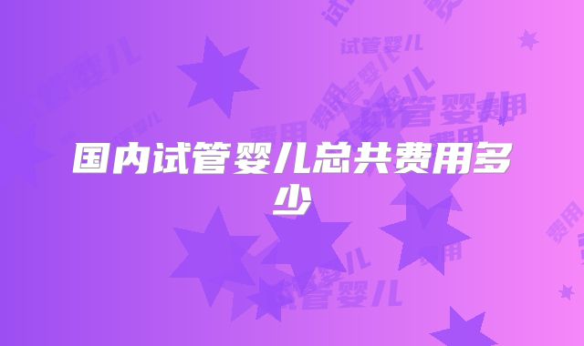 国内试管婴儿总共费用多少