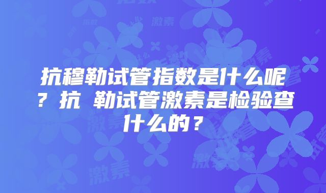 抗穆勒试管指数是什么呢？抗镠勒试管激素是检验查什么的？