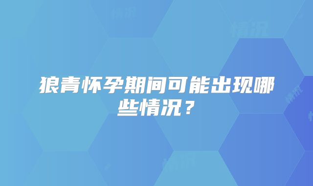 狼青怀孕期间可能出现哪些情况？