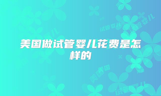 美国做试管婴儿花费是怎样的