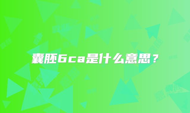 囊胚6ca是什么意思？