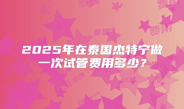 2025年在泰国杰特宁做一次试管费用多少?