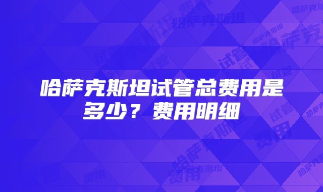 哈萨克斯坦试管总费用是多少?费用明细