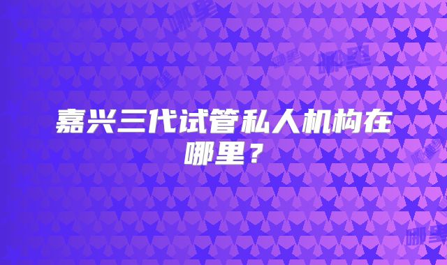 嘉兴三代试管私人机构在哪里?