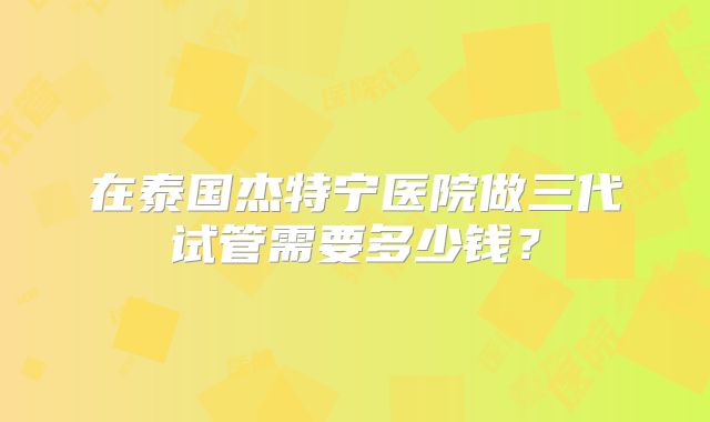 在泰国杰特宁医院做三代试管需要多少钱?