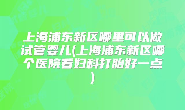 上海浦东新区哪里可以做试管婴儿(上海浦东新区哪个医院看妇科打胎好一点)