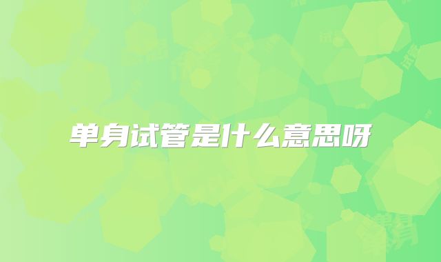 单身试管是什么意思呀