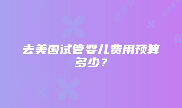 去美国试管婴儿费用预算多少？