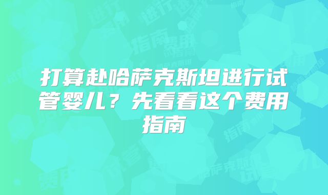 打算赴哈萨克斯坦进行试管婴儿?先看看这个费用指南