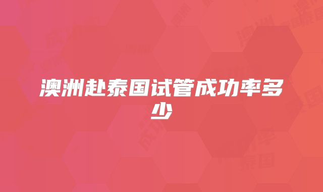 澳洲赴泰国试管成功率多少