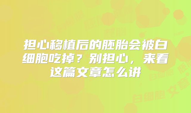 担心移植后的胚胎会被白细胞吃掉？别担心，来看这篇文章怎么讲