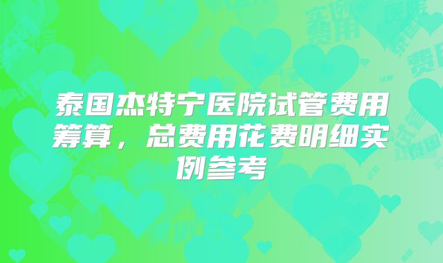 泰国杰特宁医院试管费用筹算，总费用花费明细实例参考