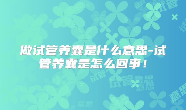 做试管养囊是什么意思-试管养囊是怎么回事!