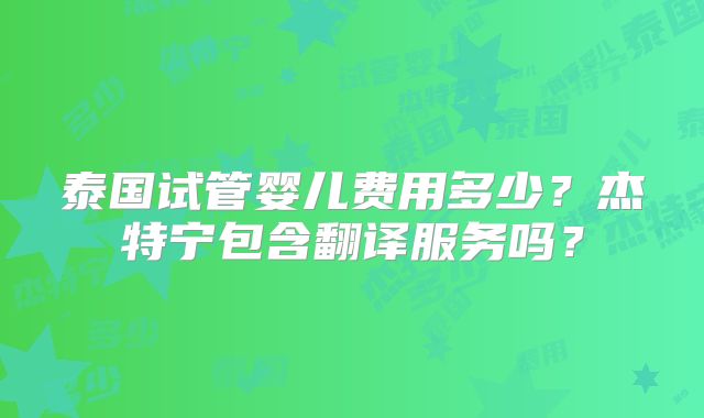 泰国试管婴儿费用多少？杰特宁包含翻译服务吗？