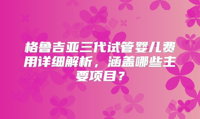 格鲁吉亚三代试管婴儿费用详细解析，涵盖哪些主要项目？