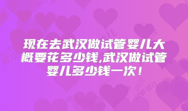 现在去武汉做试管婴儿大概要花多少钱,武汉做试管婴儿多少钱一次!