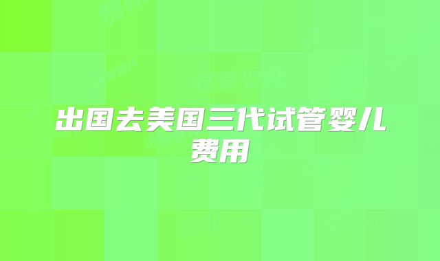 出国去美国三代试管婴儿费用