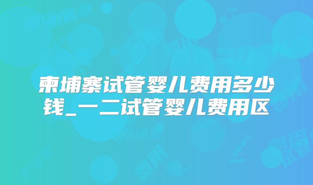 柬埔寨试管婴儿费用多少钱_一二试管婴儿费用区