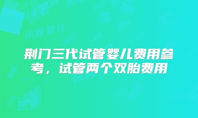 荆门三代试管婴儿费用参考,试管两个双胎费用