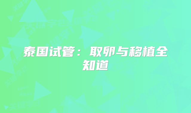 泰国试管:取卵与移植全知道