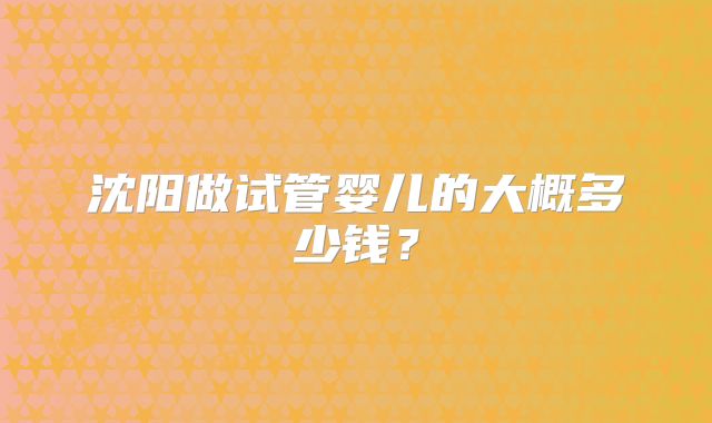 沈阳做试管婴儿的大概多少钱？