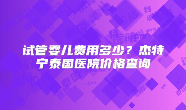 试管婴儿费用多少？杰特宁泰国医院价格查询