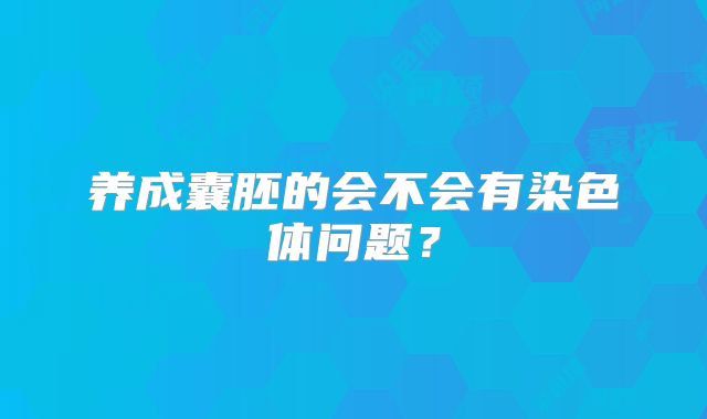 养成囊胚的会不会有染色体问题?