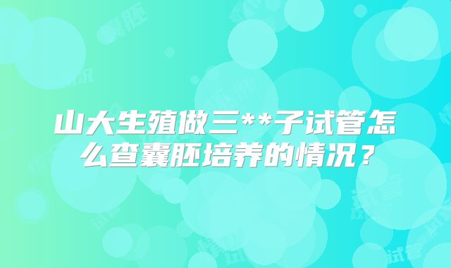山大生殖做三**子试管怎么查囊胚培养的情况?