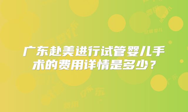 广东赴美进行试管婴儿手术的费用详情是多少？