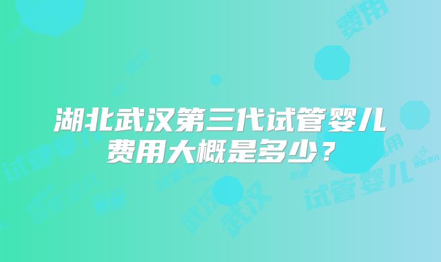 湖北武汉第三代试管婴儿费用大概是多少？