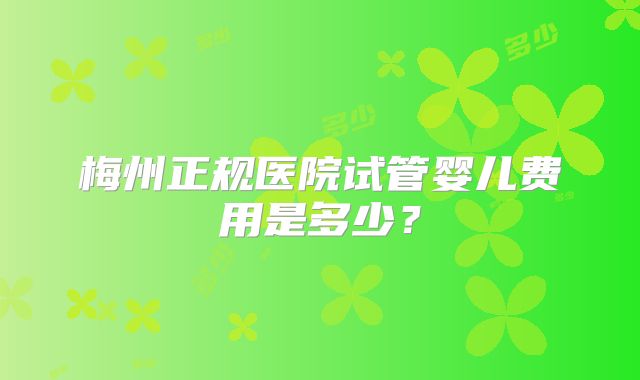 梅州正规医院试管婴儿费用是多少？