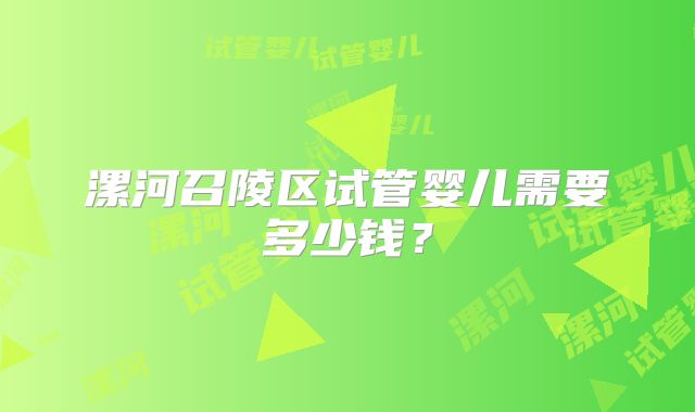 漯河召陵区试管婴儿需要多少钱?