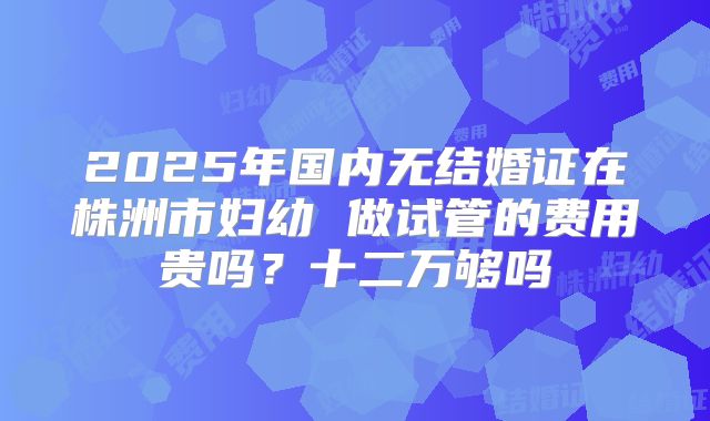 2025年国内无结婚证在株洲市妇幼 做试管的费用贵吗？十二万够吗