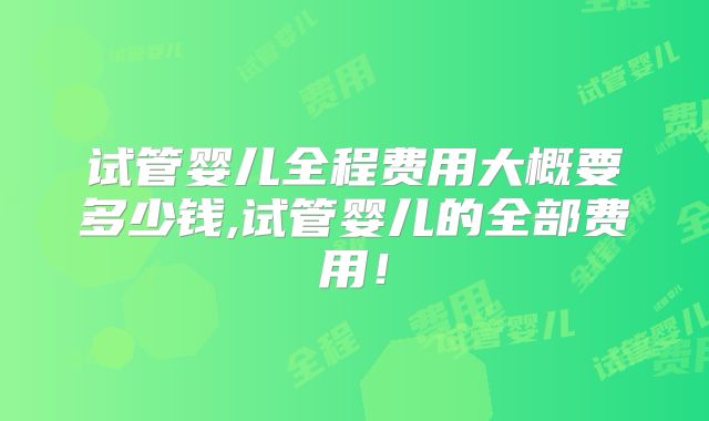 试管婴儿全程费用大概要多少钱,试管婴儿的全部费用！