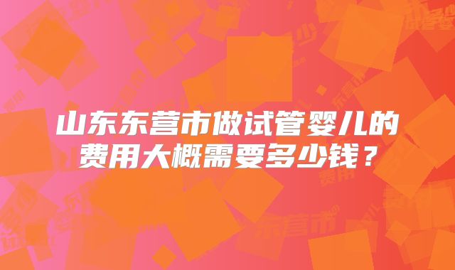 山东东营市做试管婴儿的费用大概需要多少钱？