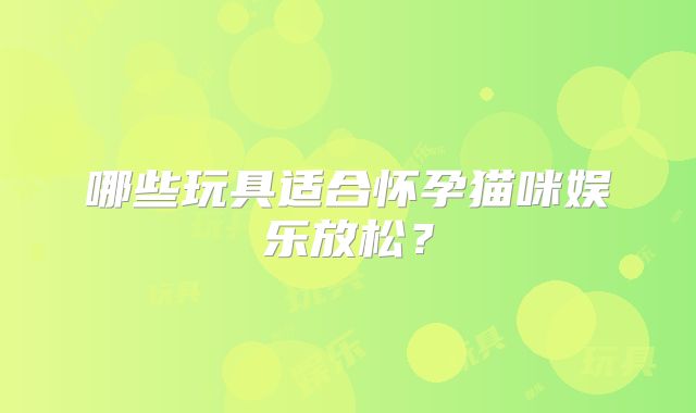 哪些玩具适合怀孕猫咪娱乐放松？